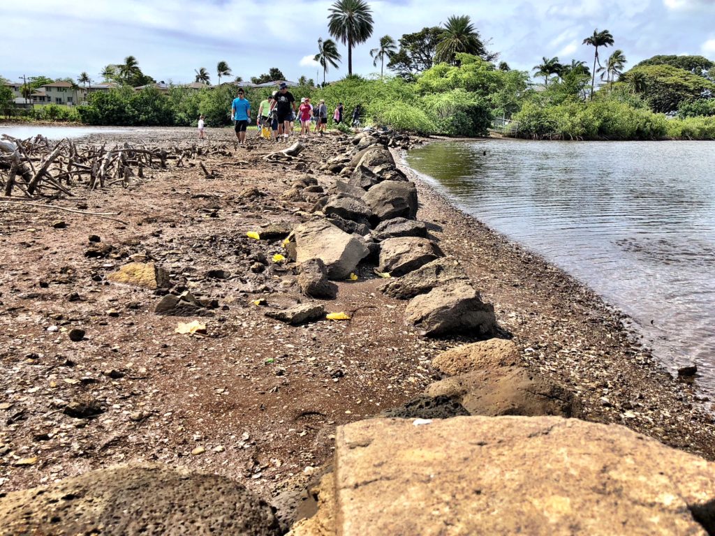 Picture of the banks of Loko Pa'aiau fishpond